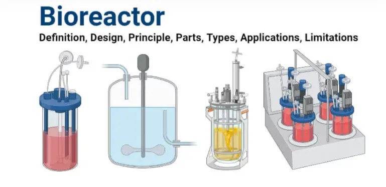 1720168123370 1720168123370