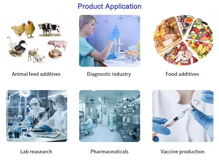 Application Application